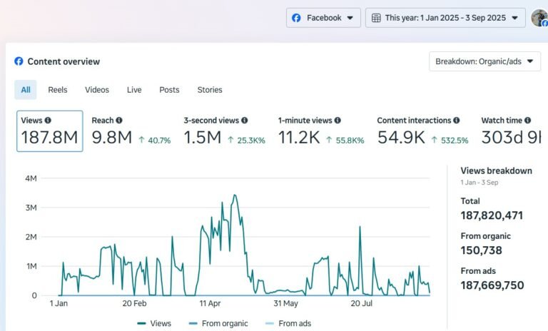 paid ad campaign real screenshot - The Wictory 2