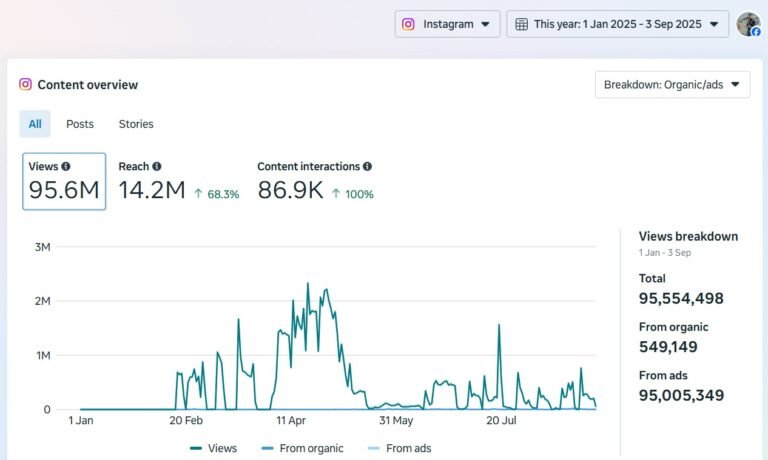 paid ad campaign real screenshot - The Wictory